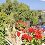 Apartament Dissoro